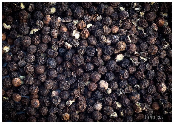 Black Pepper