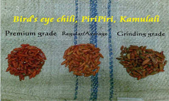 bird eye chillies